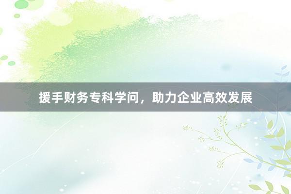援手财务专科学问，助力企业高效发展