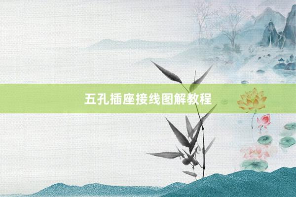五孔插座接线图解教程