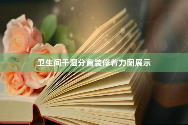 卫生间干湿分离装修着力图展示