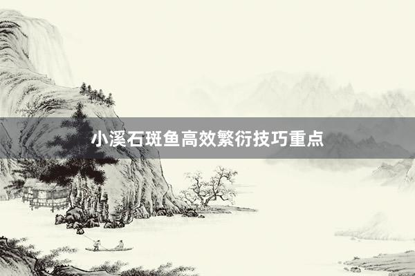 小溪石斑鱼高效繁衍技巧重点